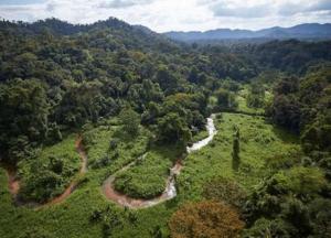 Ученые назвали главные археологические находки десятилетия