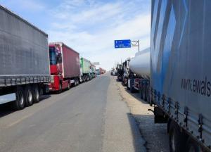 Експерт Микола Ковзель пояснив, чому транспортно-експедиційна галузь критична для відновлення економіки