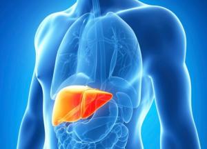 Самый эффективный метод очистки печени