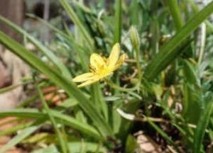 Ученые восстановили «меню» человека возрастом 170 тысяч лет