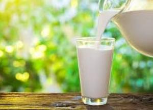 Сколько молока в день рекомендуют пить взрослым: ученые дали ответ