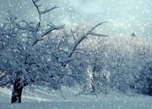До 20 сантиметров снега: в Украине резко ухудшится погода