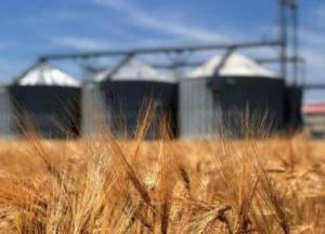 Украина на 26% увеличила агроэкспорт в ЕС
