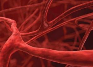 Медики назвали четыре привычки, которые наносят вред сосудам 
