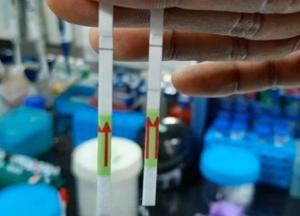 В Индии разработали первый в мире бумажный тест на COVID-19