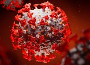 Ученые выяснили, как победить коронавирус за шесть недель