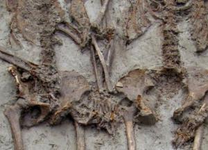 В Италии во время раскопок обнаружили "гей-пару" (фото)