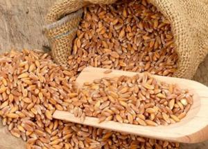 Медики назвали кашу, которая отстрочит старость