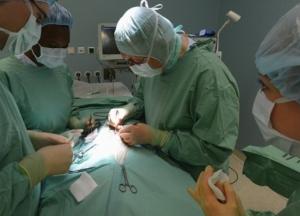 Украинец наступил на морского ежа в Эмиратах: выложил 40 тысяч за операцию