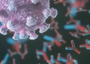 Ученые назвали срок сохранения антител к коронавирусу