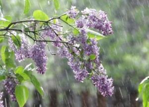 Прогноз погоды на 6 мая: Украину будут поливать дожди, а в Карпатах возможен снег