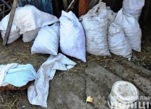 В Винницкой области женщина посадила свою дочь на цепь с ошейником 