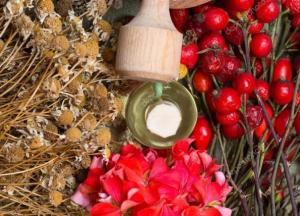 Медики назвали травы, которые обязательно должны быть в домашней аптечке