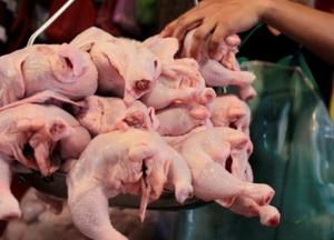 Госпродпотребслужба обнаружила сальмонеллу в импортной курятине