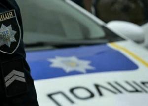 Под Киевом полицейские сбили ребенка на пешеходном переходе (видео)