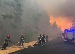В Тернопольской области мужчина возместит государству 175 тысяч гривен за поджог леса