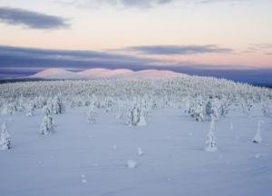 В Лапландии побит температурный рекорд за последние 100 лет