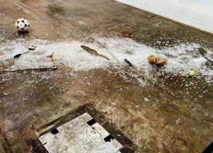 Критик разрушила произведение искусства за $20 тысяч