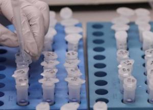 В Украине возобновился рост заражений COVID-19: 354 новых случаев заболевания