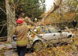 На Стамбул обрушился мощный ураган (видео)