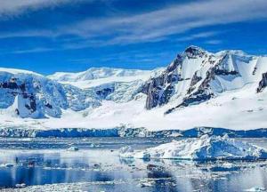 В Антарктиде обнаружили удивительную находку