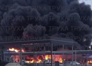 Шахед вдарив по зупинці та автосалону Renault​ у Білій Церкві: відео моменту прильоту