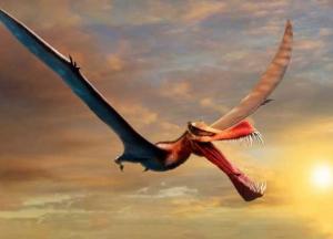 В Австралии открыли новый вид гигантских птерозавров