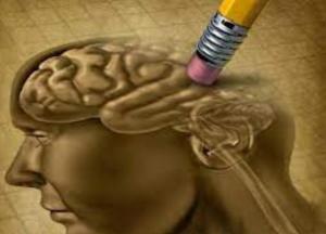 У 2020-му ковід знецінив навчання, а з 2022-го окупанти вбивають пам'ять українців: нове дослідження