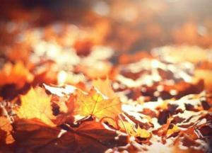 Прогноз погоды на 27 октября: ночи еще с минусом, а днем до +13