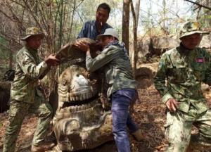 В Камбодже нашли статую божества с головой крокодила