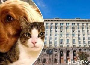 Видихаємо, хвостики! Дивні заборони для домашніх улюбленців у Києві поки не діятимуть