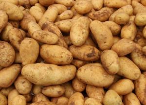 Украинцев ожидает дефицит картошки 