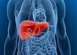 Медики назвали симптомы, которые помогут вовремя распознать болезни печени