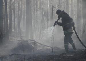 В зоне отчуждения продолжают тушить отдельные очаги пожаров (фото)