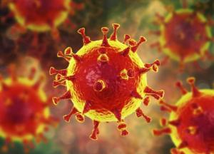 Ученые назвали два условия прекращения пандемии COVID-19