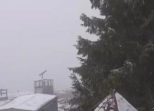 Буковель засыпало первым снегом