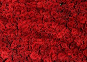 Букеты Dicentra: цветы, которые не нужно ждать