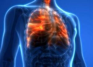 Названы домашние способы «прочистить» легкие