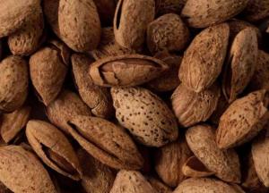 Диетологи назвали идеальный перекус для похудения