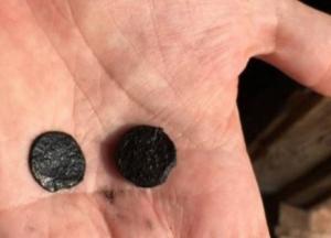 В Балтийском море нашли затонувшие артефакты времен Колумба