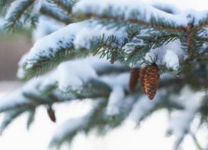 В новогоднюю ночь резко изменится погода в Украине 