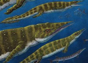 Обнаружены неизвестные ранее древние рептилии (фото)