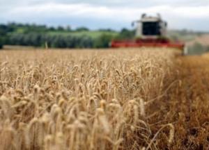 Украина нарастила экспорт агропродукции в ЕС