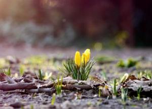 Прогноз погоды на 11 марта: в Украине сухо и холодно