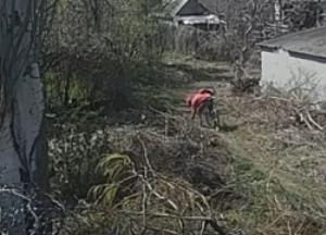Пожар в дачном кооперативе в Запорожье: за информацию о поджигателе обещают 20 тысяч гривен (видео)