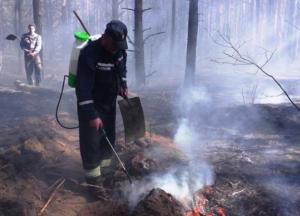На Черниговщине горит почти 200 га леса (фото)