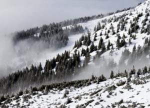 Украинцев призвали не ходить в горы на Рождество: есть угроза лавин