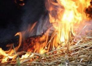 На Одесщине 5-летний ребенок заживо сгорел в стоге сена