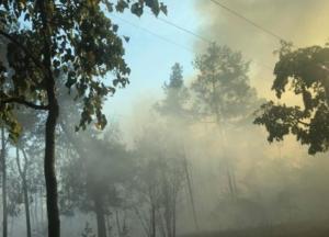 В Киеве пылает лес, возле которого строят ТРЦ и заправку: подозревают поджог (фото)