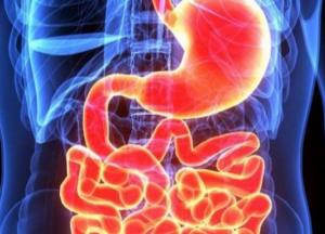 Медики назвали первые симптомы, которые помогут распознать рак кишечника